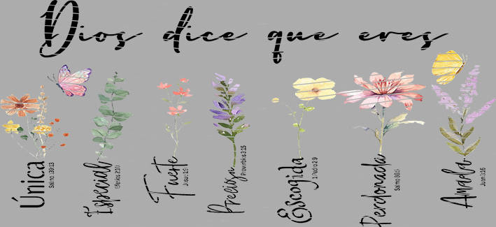 16oz Element-EN-1530